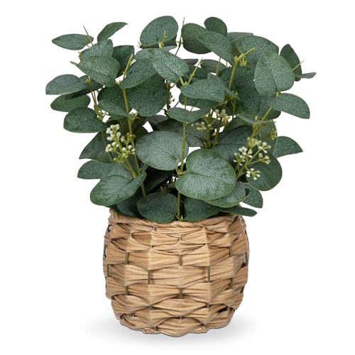 DILATATA Artificial Eucalyptus Stems in Woven Basket Planter, 11" Fake Plant Eucalyptus Leaves with White Seeds Faux Potted Plant Greenery for Table Centerpiece Office Indoor Home Decor - color: Style#1