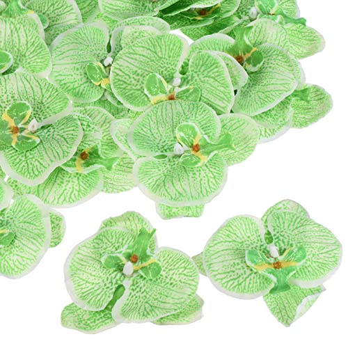 PATIKIL 10cm/3.9" Artificial Orchid Flower Heads, 20 Pack Silk Phalaenopsis Fake Butterfly Orchid Heads for Wedding Floral Bouquet Decor DIY Craft Making, Green - color: Green, size: 3.9"