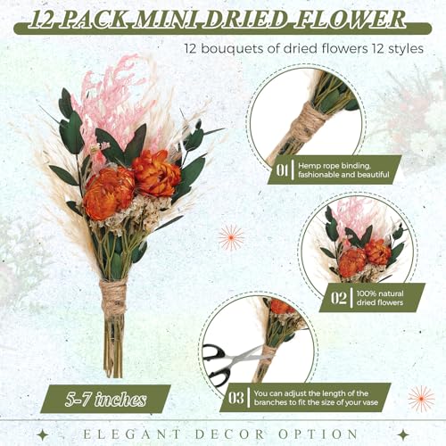 Layhit 12 Pcs Boho Dried Flower Bouquet Mini Wedding Handmade Dry Flowers Decor for Vase Crafts DIY Photo Boutonniere for Men Floral Plant for Bridesmaid Gift Birthday Decor(African Daisy) - style: Gerbera Daisy
