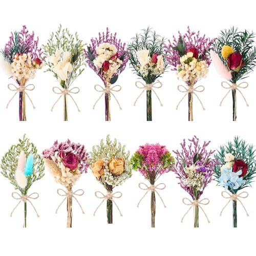 12/24 PCS Charming Dried Flowers Bouquet for Vase Various Dried Wildflowers with Stems Mini Handmade Wildflowers Natural Real Flowers Bulk Flowers Craft (Romantic Colour, 12 PCS) - color: Romantic Colour