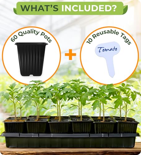 CARPATHEN 60Pack Square Nursery Pots - 3.5 Inch Seedling Plant Pot with Drainage Holes - 1020 Tray Optimized - Reusable Sturdy Seed Starter Pots for Flowers, Vegetables, Greens