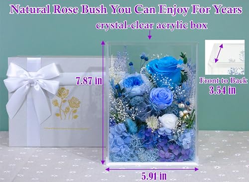 Valley of Rain & Forest Long-Lasting Real Flowers, Handcrafted Preserved Rose Bush For you to Send Love for All Occasions, Floral Arrangement for Indoor Decoration (Blue Rose) - color: Blue Rose