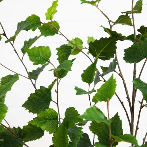 Nearly Natural 4ft. Artificial Birch Tree with Real Touch Leaves - size: 4ft