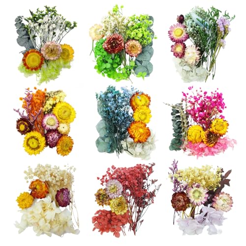 TooGet Mini Dried Flowers 9 Bags Natural Real Small Dry Flower Leaves for Crafts Colorful Mixed Color Dry Wildflowers Plants for DIY Art Candle Resin, Jewelry Crafts, Weeding Home Decorations