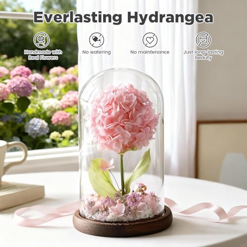 Forever Hydrangeas in Glass Dome,Forever Preserved Flowers Gifts Mothers Day Birthday for Grandma Women Mom Wife,Fresh Flowers for Delivery/Pink Hydrangea - color: Pink