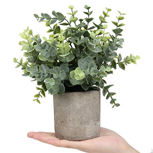 Mini Potted Plants Artificial Eucalyptus Boxwood Rosemary Faux Herbs Small House Plants 8.3"-9" Tall for Indoor Greenery Tabletop Décor Centerpiece (Sprayed Eucalyptus)