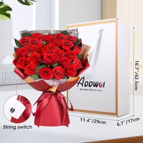 ADDWel 24 Preserved Red Roses Bouquet - Real Roses That Last 3+ Years, Romantic Anniversary & Birthday Gifts for Women, Wife, Girlfriend - Two Dozen Infinity Flowers for Delivery - color: Preserved Red Roses Bouquet - 24 Roses