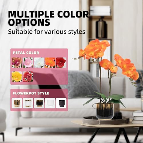 CXGS Orchids Artificial Flowers Real Touch Fake Flowers in Ceramic Pot 20" Orange Faux Orchid Plant Lifelike Silk Phalaenopsis for Centerpiece Hotel Home Indoor Decor - color: Orange- Black Gold Vase