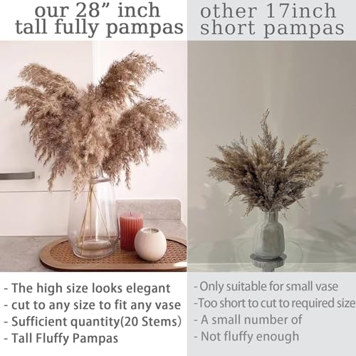 20 Stems 28" Large Brown Pampas Grass - Natural Fluffy Pompas Grass Bulk for Floor Vase - Boho Decor Home Wedding Event Decor, Gift - size: 20pcs brown