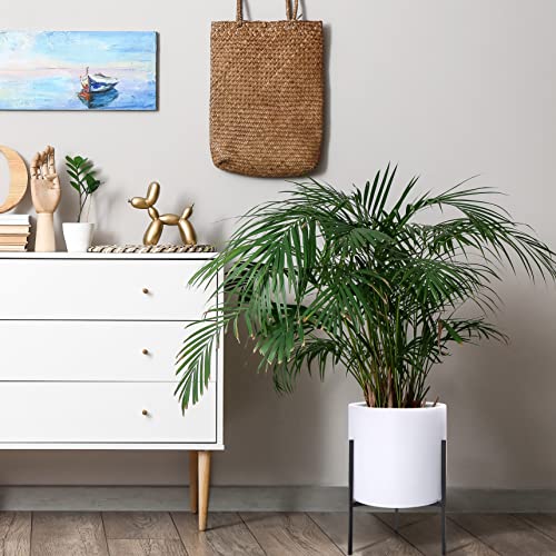 D'vine Dev Modern White Plants Pot Cylinder Planter with Heavy Duty Stand, Large 12 Inch Pot, 18.9 Inch with Stand Height, 96-T-A-3 - color: White, size: Large 12 Inch