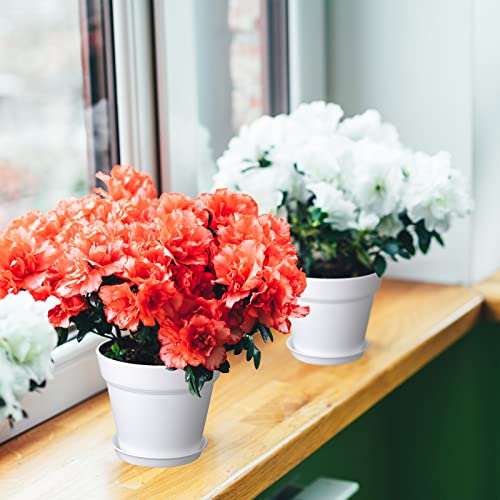 Mumufy 54 Pack 4 Inch Plant Pots Bulk Small Planter with Drainage Hole and Saucer Small Plastic Pots for Flowers Succulent Cactus and All House Indoor(White) - color: White