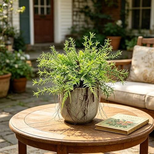 Hrobek 2 Pack Ferns Artificial Hanging Plants for Outdoor Fake Faux Fern Plants with Roots, UV Resistant Greenery Plants for Indoor Home Patio Porch Decor - color: Asparagus