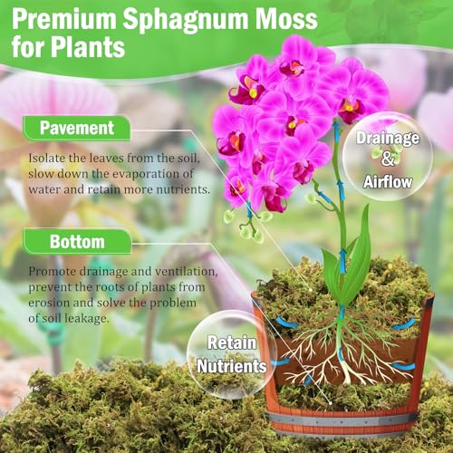 Riare 7OZ Premium Sphagnum Moss for Plants- 10QT Natural Dried Plant Moss for Potted Plants, Orchid Moss for Repotting, Soft Green Decorative Moss for Succulents, Reptiles & DIY Crafts - color: 10 QT(Appx.7oz)