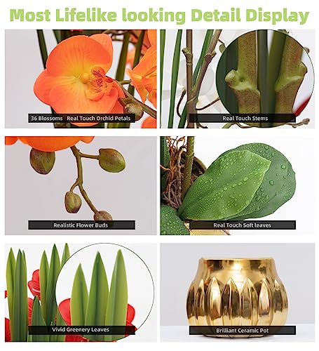 CXGS Artificial Orchid Flower Real Touch Faux Orchids in Ceramic Vase Large 22.9'' Fake Flowers Orange Phalaenopsis Floral for Home Indoor Decor - color: Orange- Golden (Large Pot)