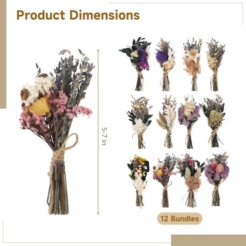 12 Pcs Mini Dried Boho Flower Bouquets - Bohemian Wedding Boutonniere Decors, Rustic Floral Arrangements, Small Natural Dried Flowers for Crafts, Vases, Handcrafted with Jute Twine