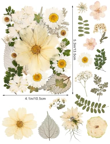 100pcs White and Light Yellow Dried Pressed Flowers Bulk, Natural Fall Pressed Dried Flowers with Tweezer for DIY Crafts Resin Mold Candles Cake Bridal Scrapbooking Supplies - size: White Flower