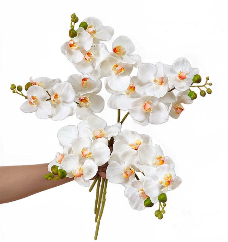 5 Artificial Orchid Flowers 18 Inches Real Touch Faux Phalaenopsis Orchid Flowers Stems Arrangements for Wedding Bridal Bouquets and Home Office Indoor Decorations (White) - color: White