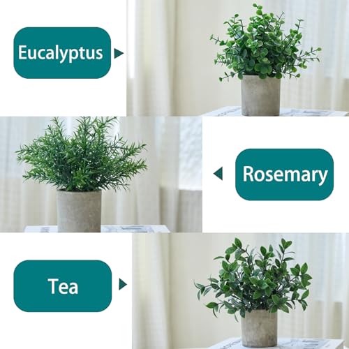 3 Pack Small Potted Fake Plants for Desk Shelf Beedroom Decor | Dark Green Artificial Eucalyptus in paper Pul, Faux Greenery Perfect for Bathroom Kitchen Farmhouse Coffee Room Home Decor - color: Dark Green