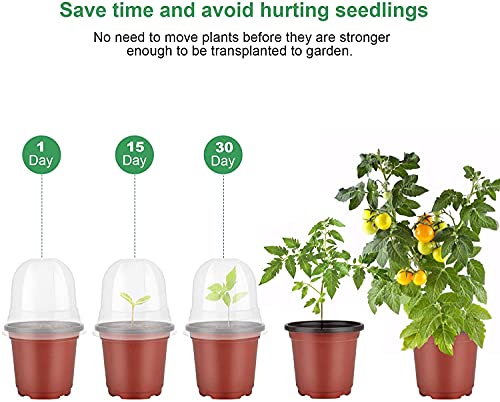 MIXC Plant Nursery Pots with Humidity Dome 4" Soft Transparent Plastic Gardening Pot Planting Containers Cups Planter Small Starter Seed Starting Trays for Seedling with 10pcs Plant Labels，30 Sets - color: Red, size: 4 Inch-with Lid