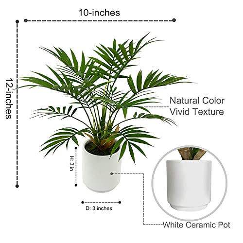 Artificial Palm Tree Plant, Potted Artificial Plant for Home Office Decoration, 12" Tall, Ships in White Ceramic Planter - size: 1ft