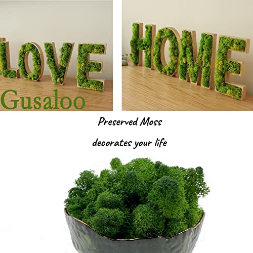 Moss Preserved Moss for Potted Plants Natural Fresh Green Reindeer Moss for Craft Arts Floral Wall Decor Decor Wedding Centerpieces Garden Artificial Terrariums Decoration for Christmas(Green) 3.5OZ - color: Green, size: 3.5oz