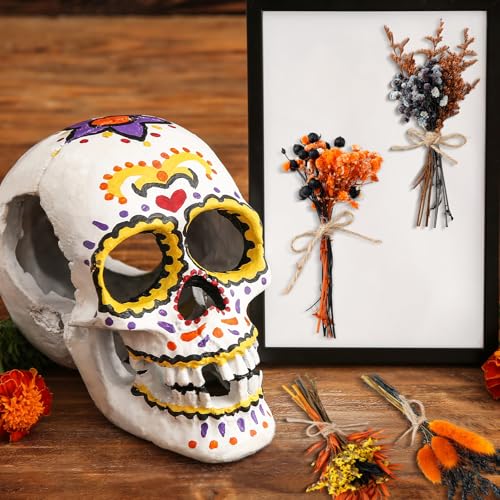 10/12/24/36 Pack Mini Dried Flowers for Vase Summer Halloween Wedding Various Mini Bouquet Dried Small Wildflowers Natural Flowers Bulk for Crafts DIY Decor (12, Orange Black 2) - size: Orange Black 2