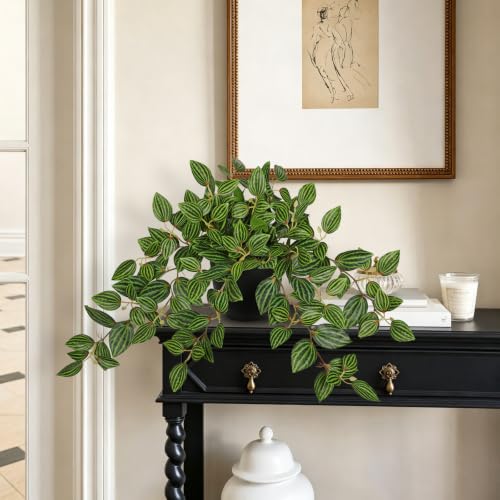 Briful Artificial Potted Plant Indoor, 19.6" Faux Watermelon Peperomia Trailing Plant in Black Pot, Realistic Fake Plants with Cascading Green Leaves for Shelf Bathroom Office Desk Kitchen Home Decor - color: Green Black Pot