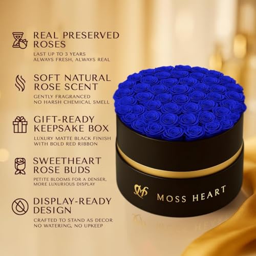 50 Petite Preserved Roses, Designer Round Box, Real Forever Roses Last 1+ Year, Premium Gift for Women, Wife, Girlfriend, Mother’s Day, Birthday, Anniversary, Valentine’s Day - color: Royal Blue, size: 50 Roses