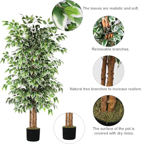 GTIDEA 2 Pcs 6ft Ficus Artificial Trees, Tall Faux Trees Indoor with Natural Trunk and Fake Silk Tree Fake Plants for Home Spring Decor Living Room Outdoor Balcony House Office (Included Dried Moss) - color: 6ft Ficus Tree-2pack (No Vase)