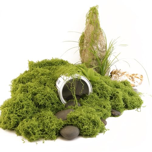 Caiyjhao Artificial Green Moss is Used for Potted Plants, and Moss Crafts are Used for Fairy Tale Garden Houses, Garlands, Glass Container Fillers and Wedding Wall Decoration (7.05 Ounces) - color: green, size: 200g