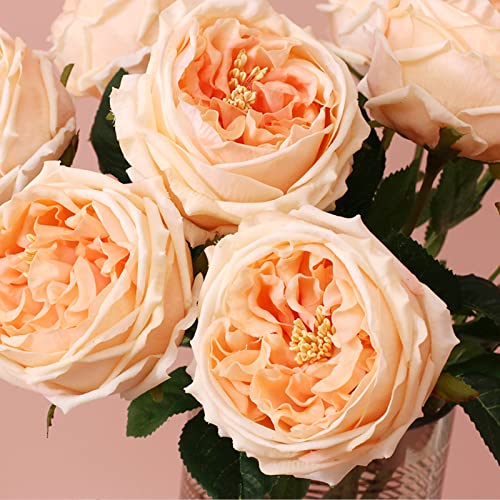UKELER Artificial Roses 4 Pcs Real Touch Artificial Flowers Champagne Austin Rose Peony with Stem for Home Decor Flower Arrangement Wedding Party Decoration - color: Champagne