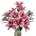Artificial Lily Flowers,6 Pcs Faux Lily Flowers,23 Inch Long Stem Tiger Lily Branch with 3 Full Blooms and 4 Leaves, Latex Real Touch Lilium Flower for Wedding Bouquet (6, hot Pink) - color: Hot Pink