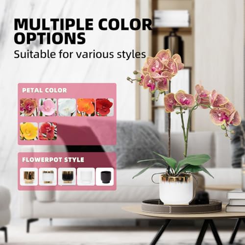 CXGS Orchids Artificial Flowers Real Touch Fake Flowers in Ceramic Pot 20" Purple Dapple Faux Orchid Plant Lifelike Silk Phalaenopsis for Centerpiece Hotel Home Indoor Decor - color: Purple Dapple- White Gold Vase