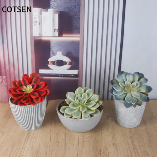 COTSEN 3 Pcs 5.9inch Artificial Succulents Plants Unpotted Assorted Fake Succulents for Office Family Garden Decor