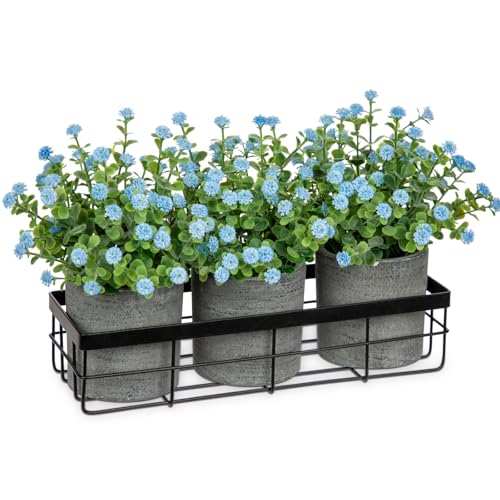 DILATATA Baby's Breath Artificial Flowers Table Centerpiece Decoration Potted Artificial Babys Breath Small Fake Plants for Shelf Desk Home Decor Fake Blue Babys Breath Flower with Vase - color: Blue