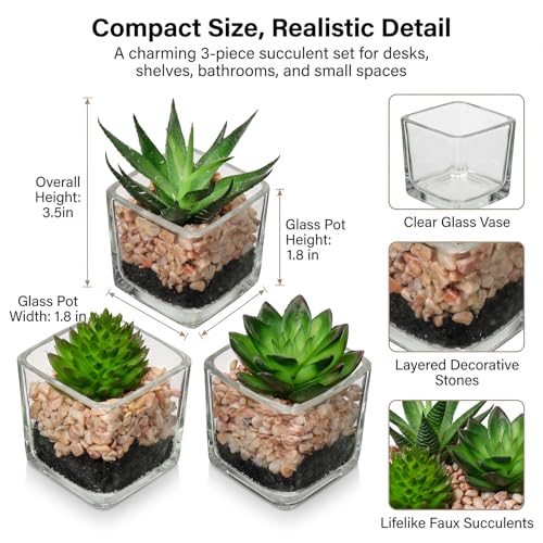 Briful Set of 3 Succulents Plants Artificial in Glass Pots Small Fake Succulents Plants Faux Plants Indoor for Home Office Table Desk Shelf Room Decor - color: Succulents #01