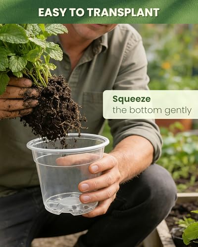 24 Packs Clear Nursery Pots for Plants with Saucers, 7/6/5/4 Inch Plastic Flower Pots with Drainage Hole, Variety Pack Seedlings Plant Pot with 24 Plant Labels - size: 4/5/6/7 24pcs