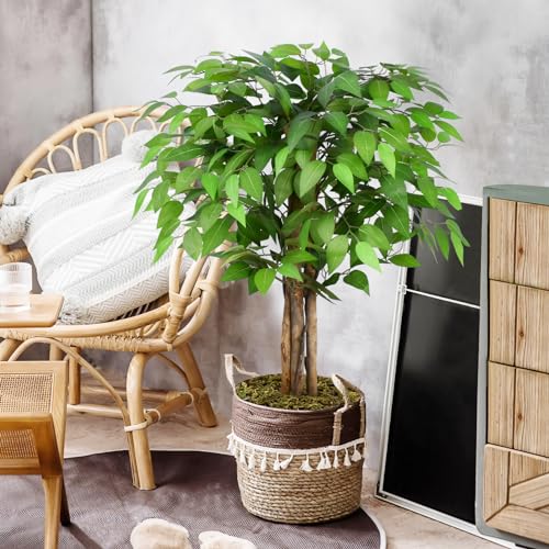 3ft Ficus Artificial Trees with Natural Curved Trunks, 36" Tall Lush Faux Tree for Home Decor Indoor, Green Lifelike Fake Ficus Tree Artificial Plants - size: 3ft