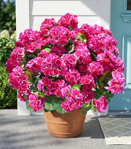 Fake Geraniums Artificial Flowers for Outdoors Outside, 6 Bundles Fuchsia Silk Geraniums Fake Flowers Plants Realistic UV Resistant Faux Flowers for Outdoor Planters Garden Balcony Yard Porch Indoor - color: Fuchsia