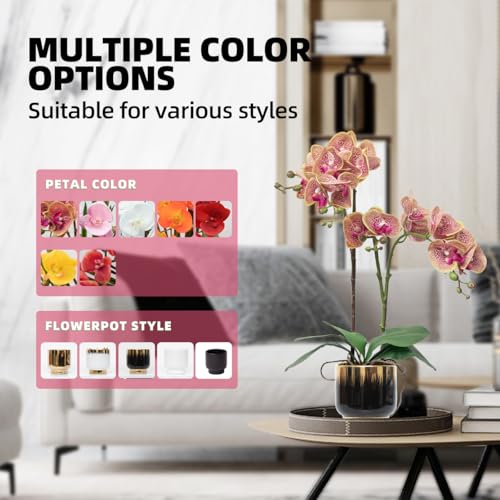CXGS Orchids Artificial Flowers Real Touch Fake Flowers in Ceramic Pot 20" Purple Dapple Faux Orchid Plant Lifelike Silk Phalaenopsis for Centerpiece Hotel Home Indoor Decor - color: Purple Dapple- Black Gold Vase