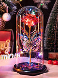 Mothers Day Flowers Gifts for Mom Women Birthday Gift, Galaxy Glass Rose Forever Eternal Crystal Flowers Rose in Glass Dome with Butterfly Mother's Day Roses Gifts for Mom Daughter Wife Grandma Red - color: E Red