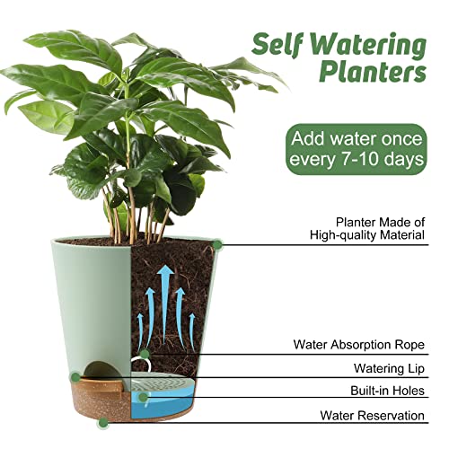 YNNICO Indoor Self Watering Planters with Drainage Holes and Saucers, 8, 7, 6.5, 6, 5.5, 5 Inches, Green, 6 Pots. - color: Green, size: 8+7+6.5+6+5.5+5 inch