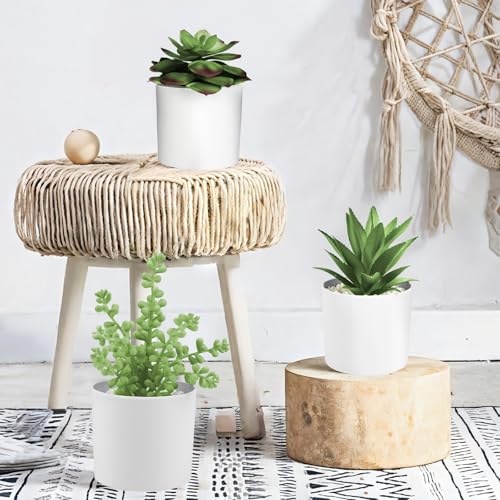 Hopewood Succulent Plants Artificial in White Pots Small Faux Potted Succulents Fake Plants in Vase Set of 3 - color: Faux Plants-white