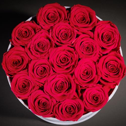 Prifroti 17 Flowers in a Luxury Suede Box, Birthday Gifts for Women, Preserved Flowers, Mothers Day Roses Gift for Mom, Hot Pink - color: Hot Pink, size: 17 Roses