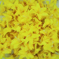 20 Pcs Artificial Lily Flower Head, Yellow | Fake Flowers Heads, Simulation Small Lily, DIY Handmade, Wedding Photography Party Home Decoration - color: Yellow