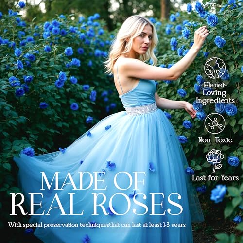 GLAMOUR BOUTIQUE Preserved Roses in a Box - Gifts for Her, Wife & Mom, Rose Flowers Forever Decor for Birthday Gift, Get Well Flower Bouquet Cased in White Box with Cover, Blue, 27 (Color-Treated) - color: Blue, size: 27 Roses Heart Box
