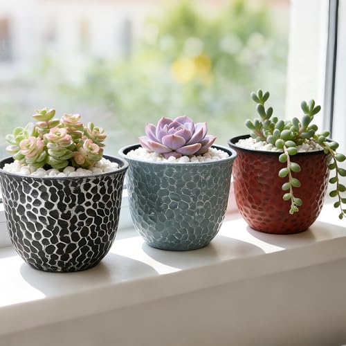 Worth Garden Plastic Round 8 Inch Planters for Indoor Plants Set of 6 Outdoor Resin Flower Pots Colorful with Drainage Hole Rubber Plug Retro Appearance Home Christmas Decorative Containers Multicolor