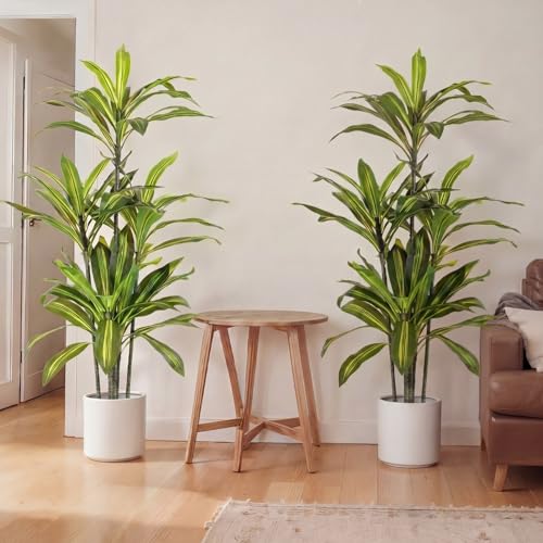 Giegxin 2 Pack 5 FT Artificial Dracaena Tree, Indoor Fake Tree with Black Stable Planter, Natural Wood Trunk & Lifelike Leaves Dracaena Plants for Home Living Room Porch Office Housewarming Gift - size: 5 ft