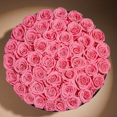 Prifroti 47 Roses in a Luxury Suede Box, Preserved Flowers for Women, Mothers Day Flowers for Mom, Light Pink - color: Light Pink, size: 47 Roses