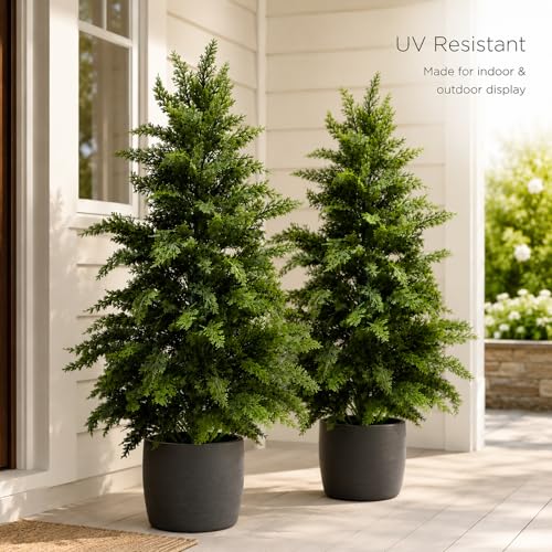 3 ft Extra Full Artificial Cedar Topiary Trees Set of 2 for Porch | Extra-Dense Foliage, Full Shape, UV Resistant, Stable Base, No Watering, for Porch Patio Garden Entryway - color: Cedar Green, size: 3FT